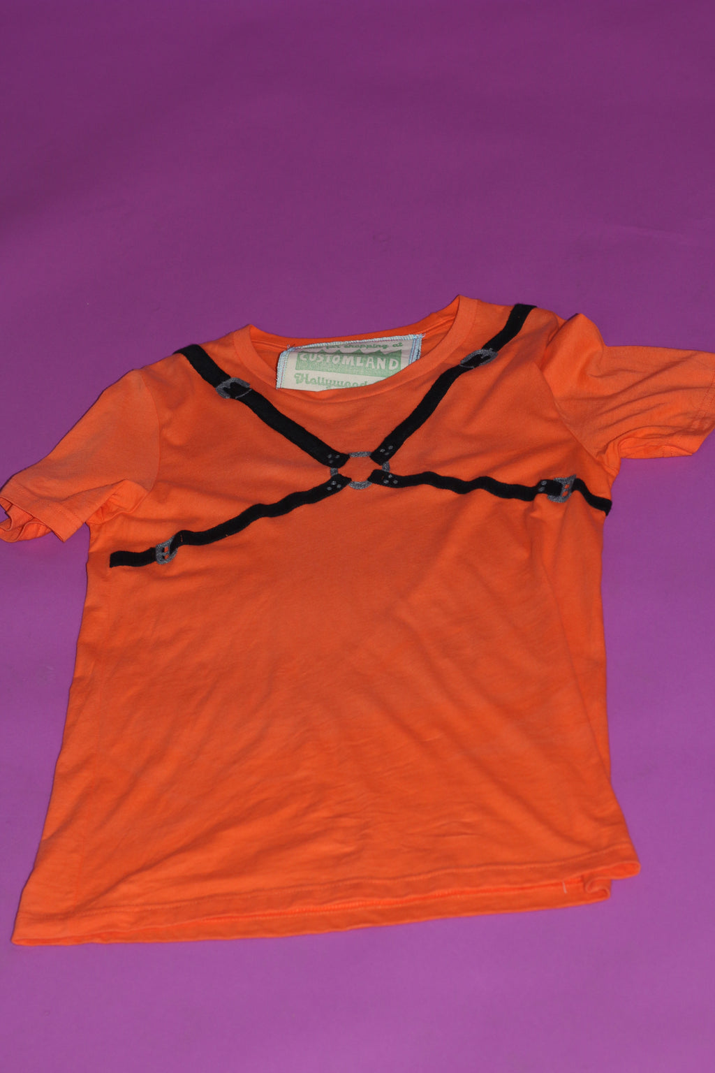 Embroidered Harness Tee