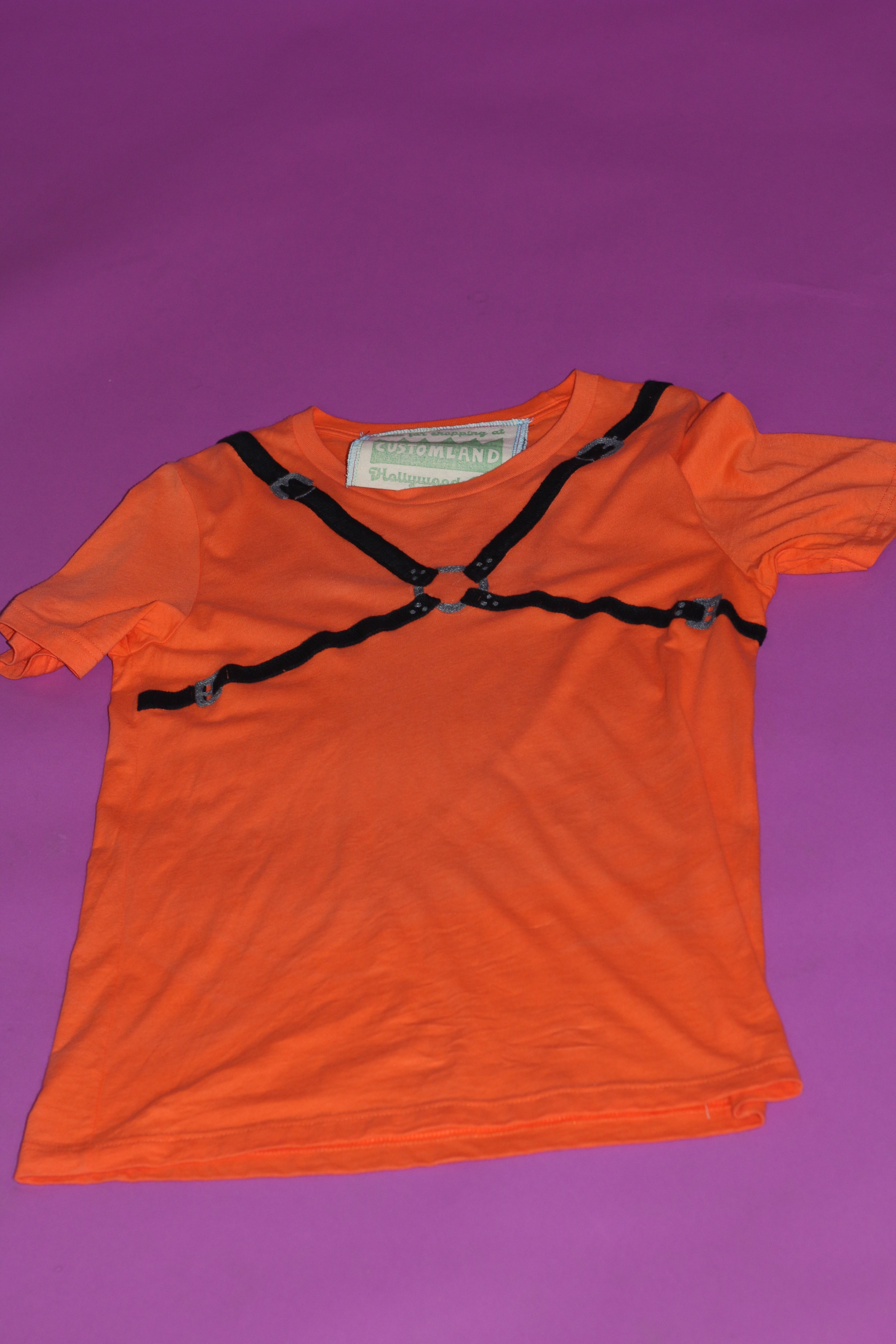 Embroidered Harness Tee