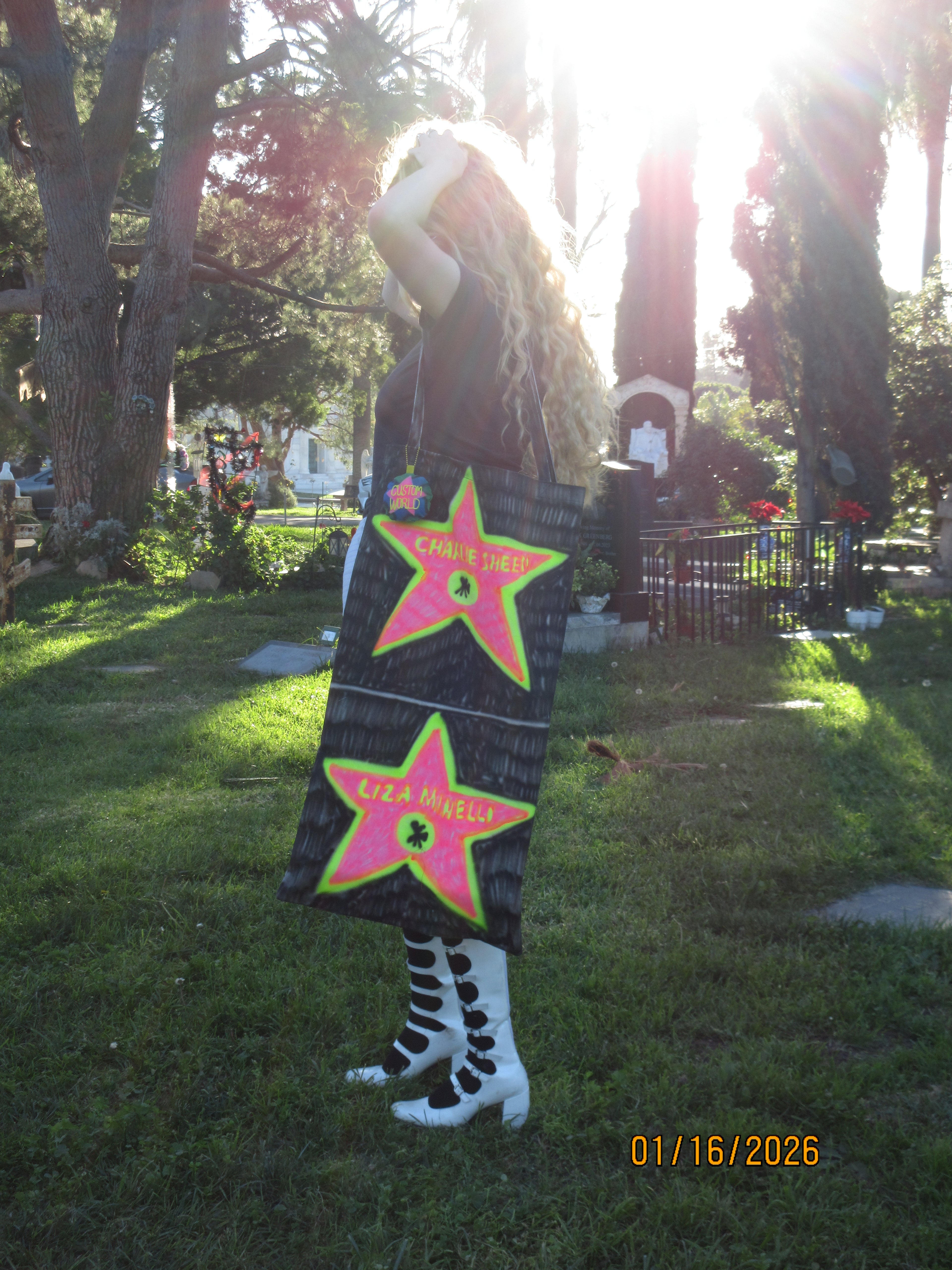 Long Hollywood Totes